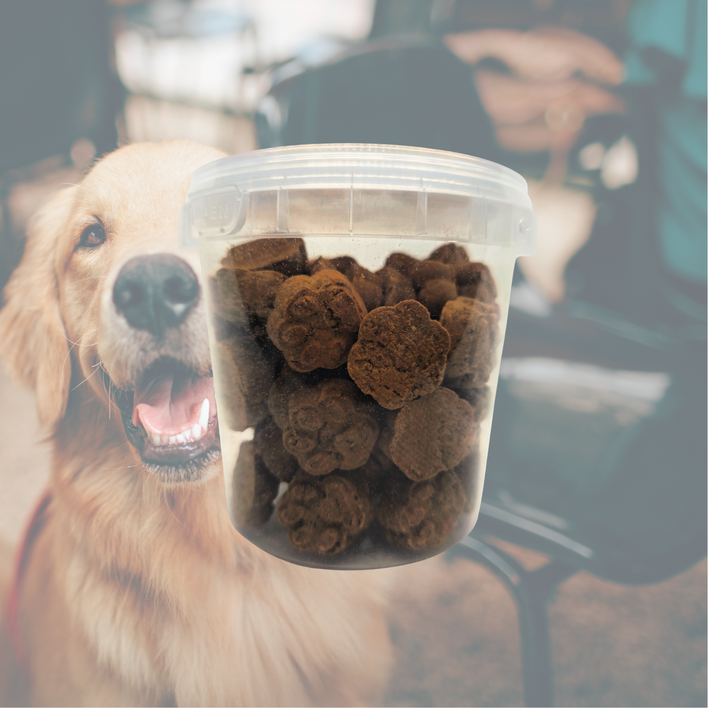 PawCrunch Köpek Ödülü