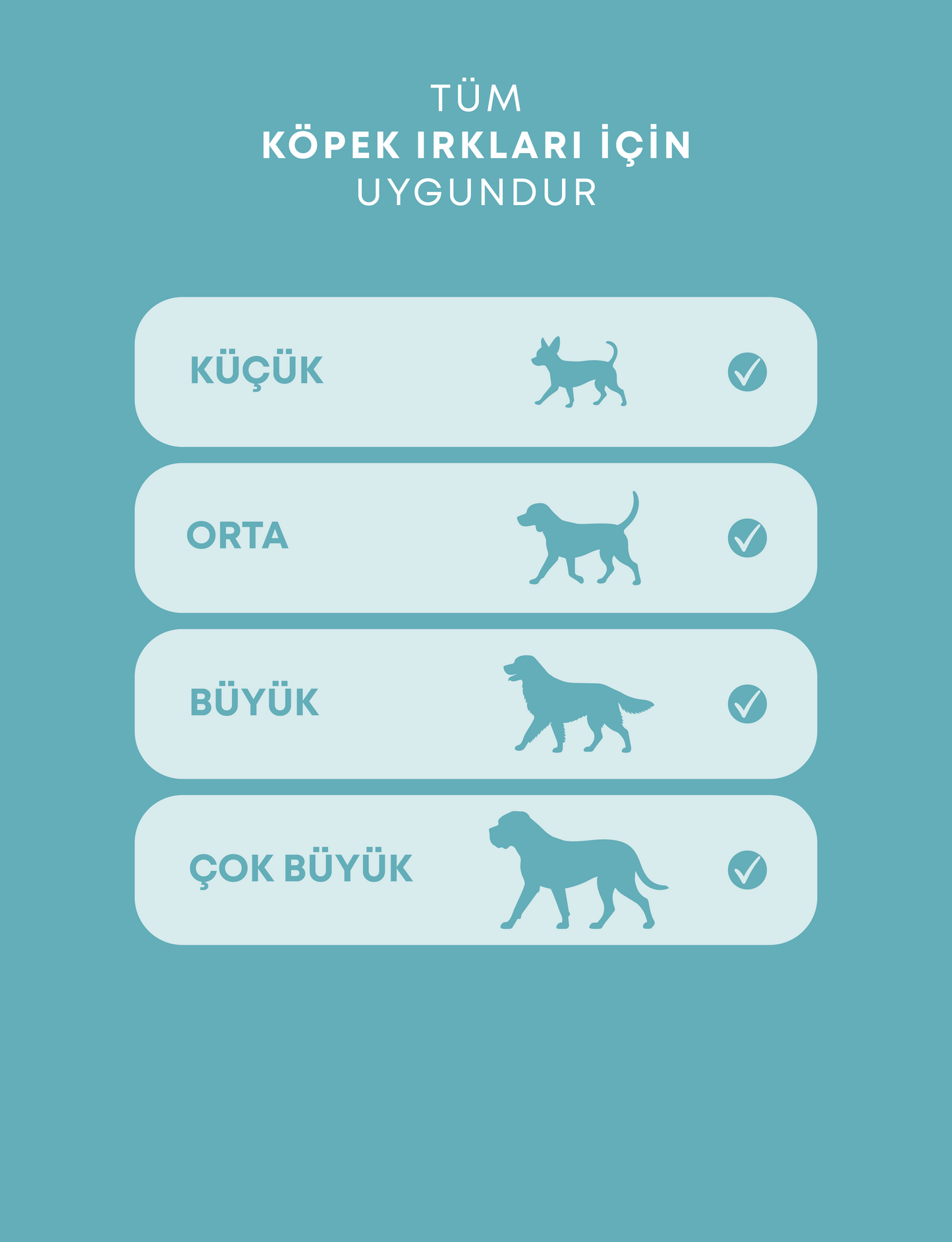 Etli Kemik Rulo - Doğal Köpek Ödül Maması | Steak Lollipop