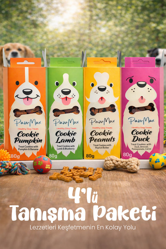 4'lü Tanışma Paketi