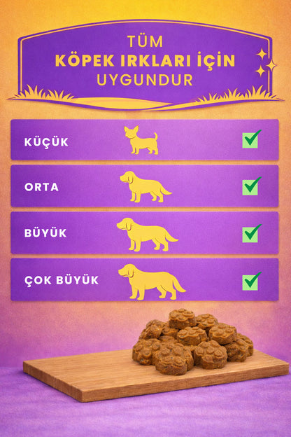 PawCrunch Köpek Ödülü