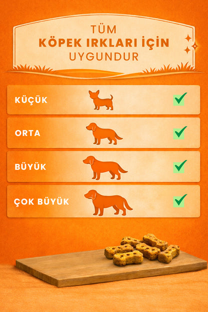 Balkabak ve Muzlu Köpek Ödül Maması