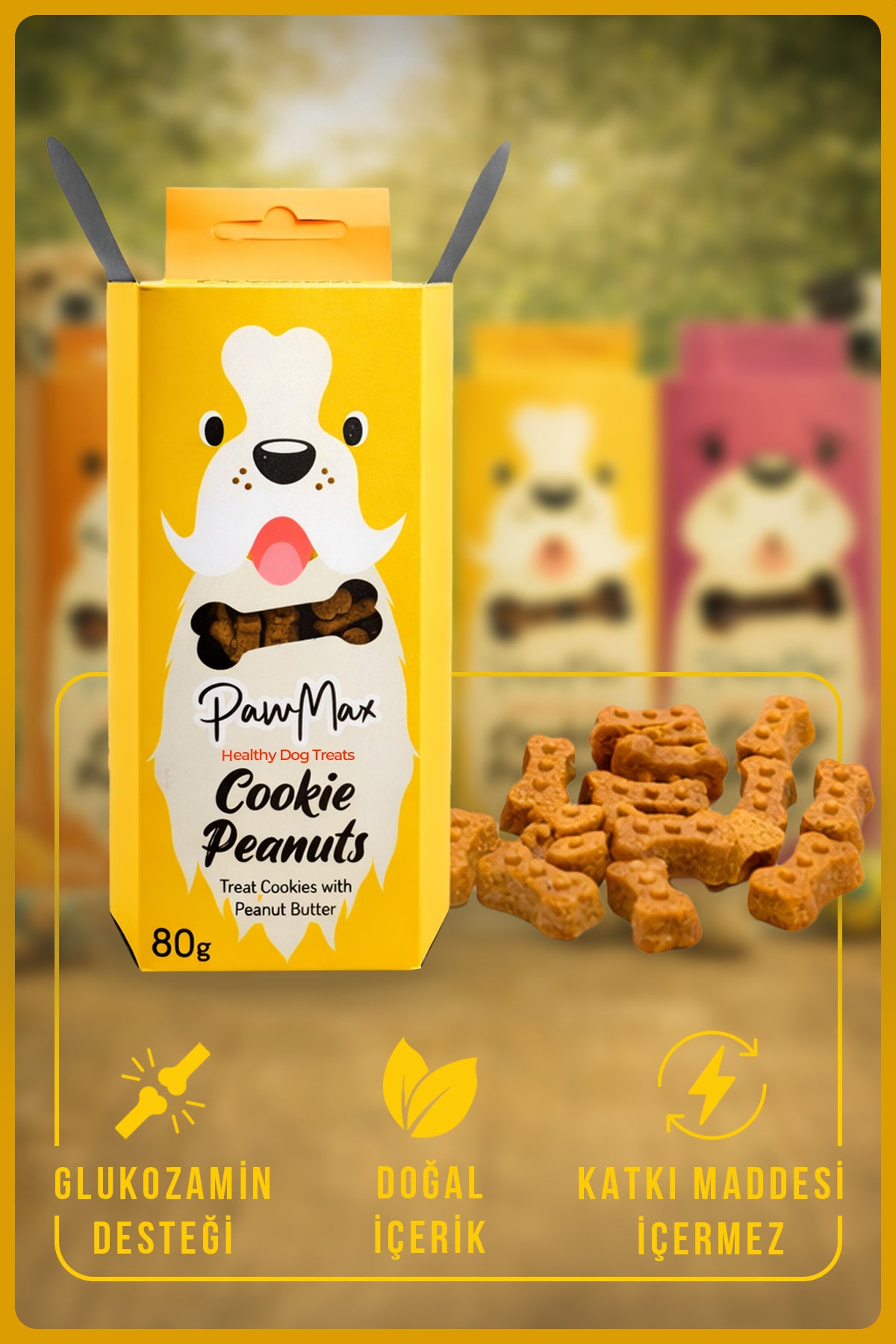 4'lü Tanışma Paketi