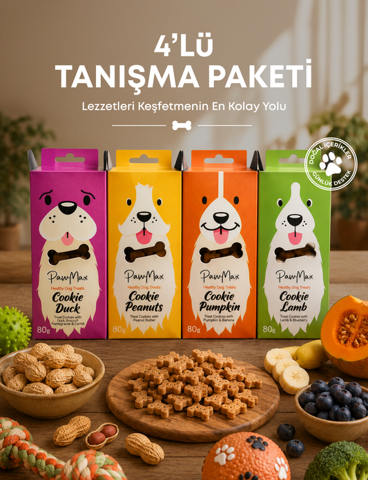 4'lü Tanışma Paketi