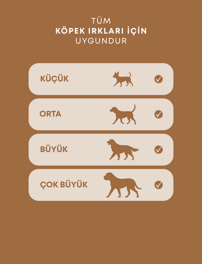 5'li Tanışma Paketi