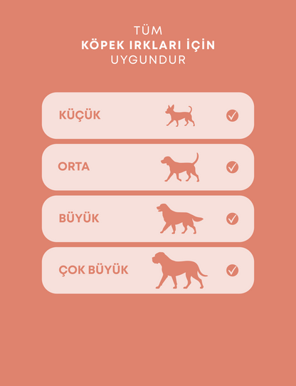 Kurutulmuş Dana Karaciğer - Doğal Köpek Ödül Maması | Pawmax Beef Liver Bites