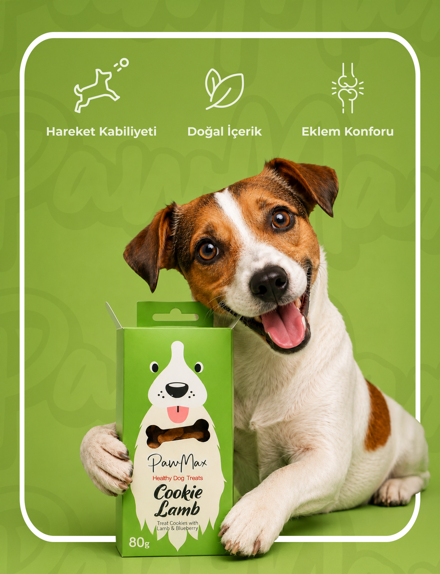 Kuzu Eti ve Yaban Mersinli Köpek Ödül Maması
