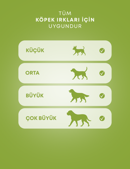 Kuzu Eti ve Yaban Mersinli Köpek Ödül Maması