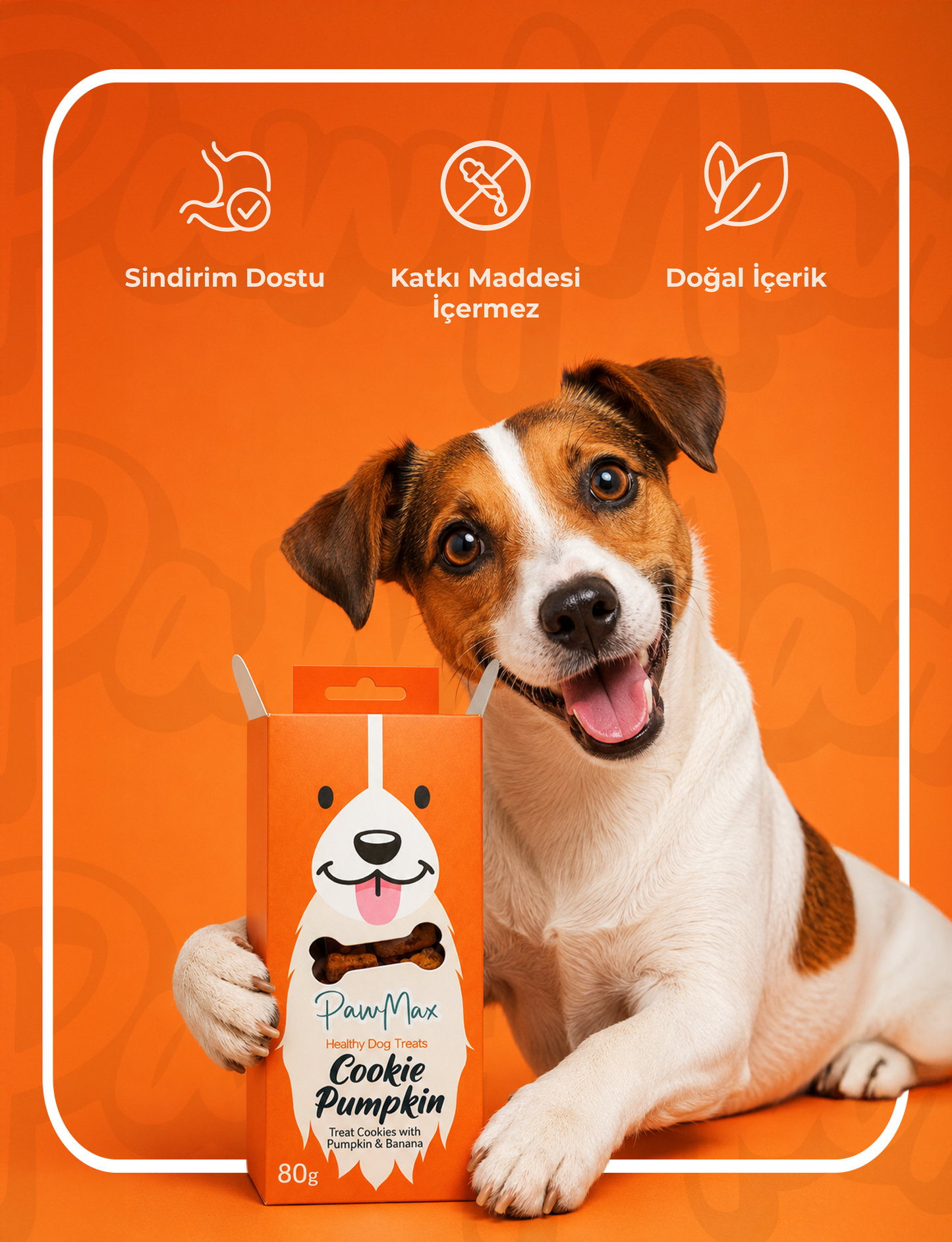 Balkabak ve Muzlu Köpek Ödül Maması