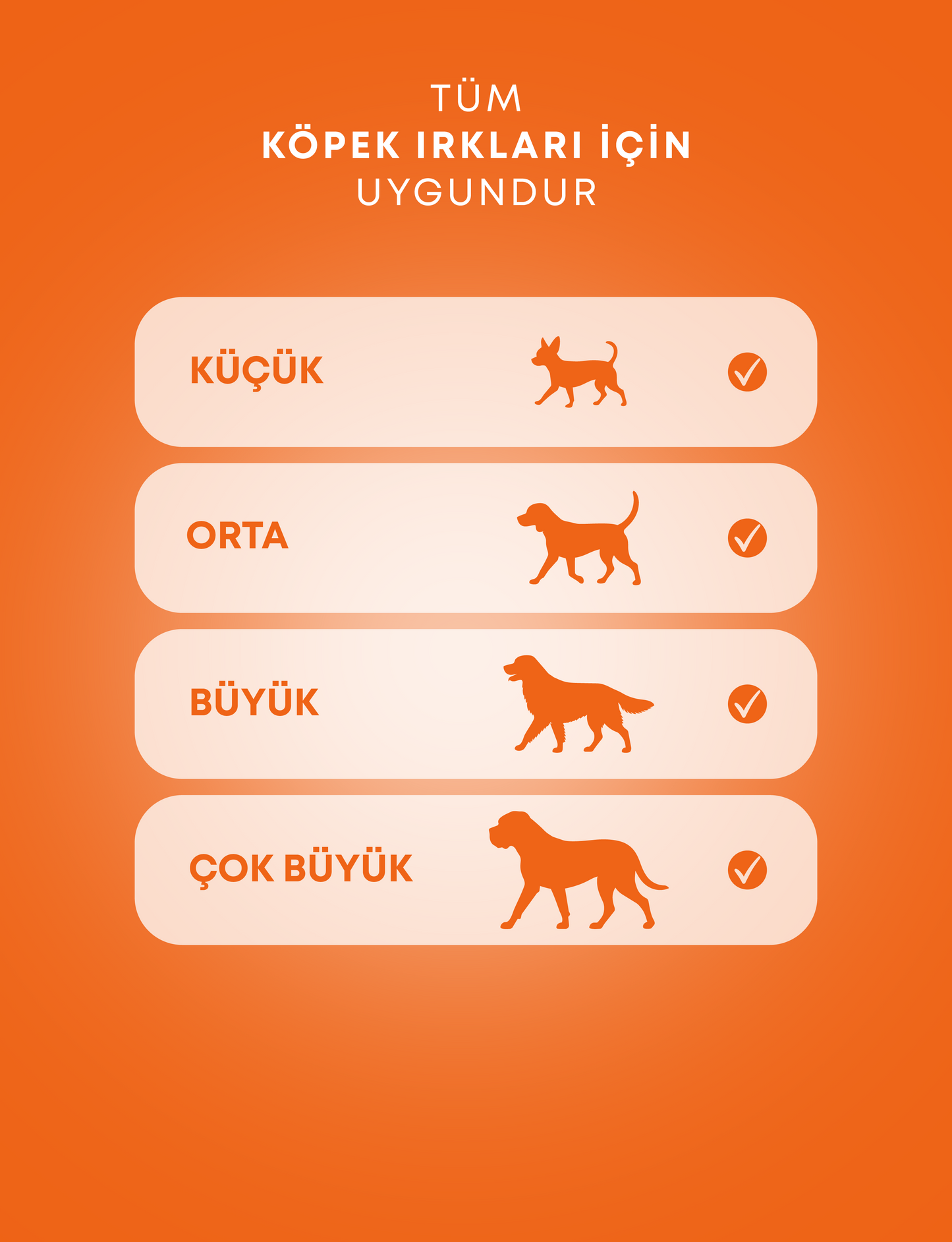 Balkabak ve Muzlu Köpek Ödül Maması