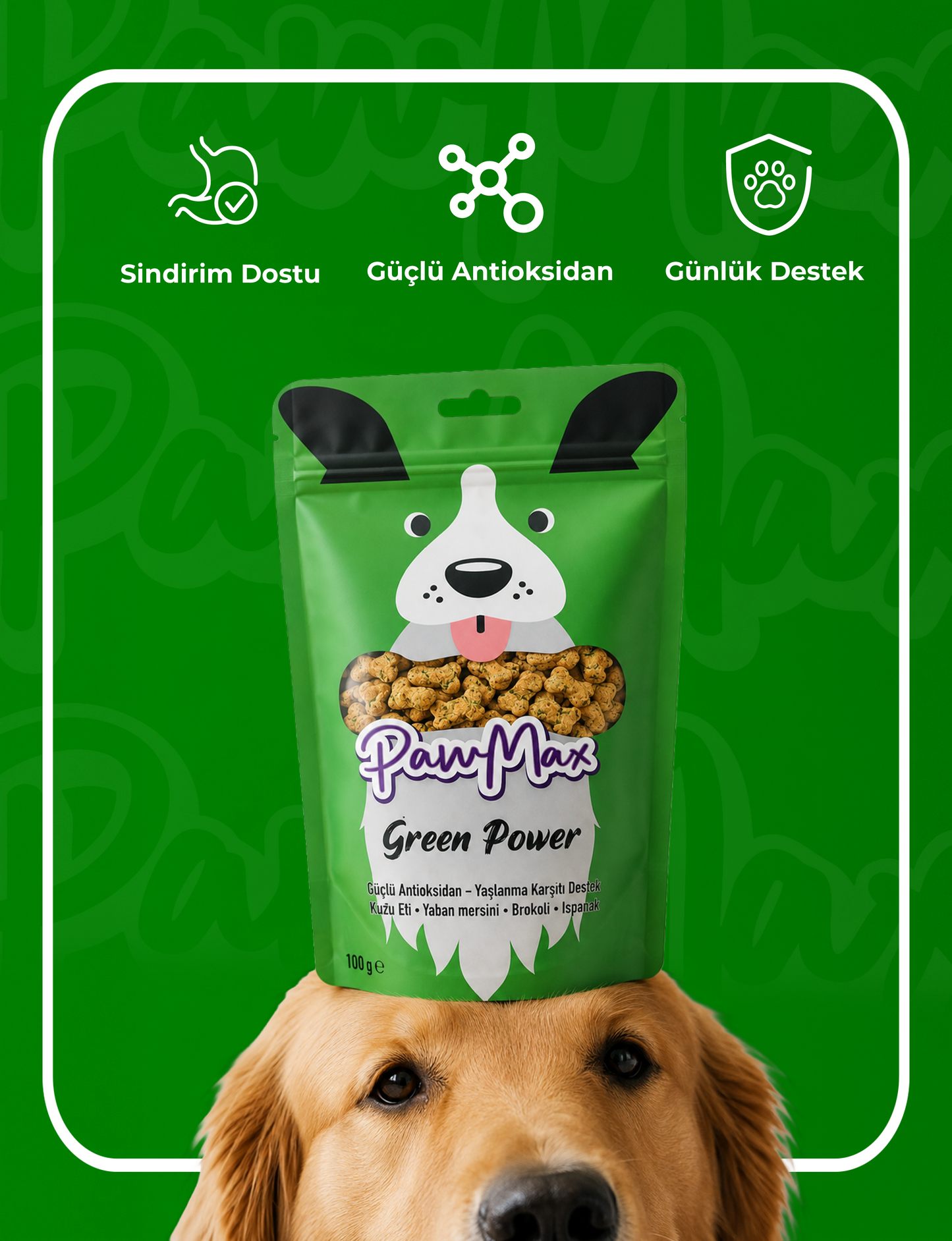 Green Power