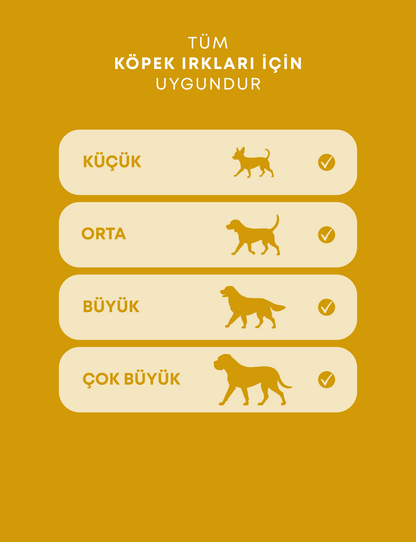 Strong Step