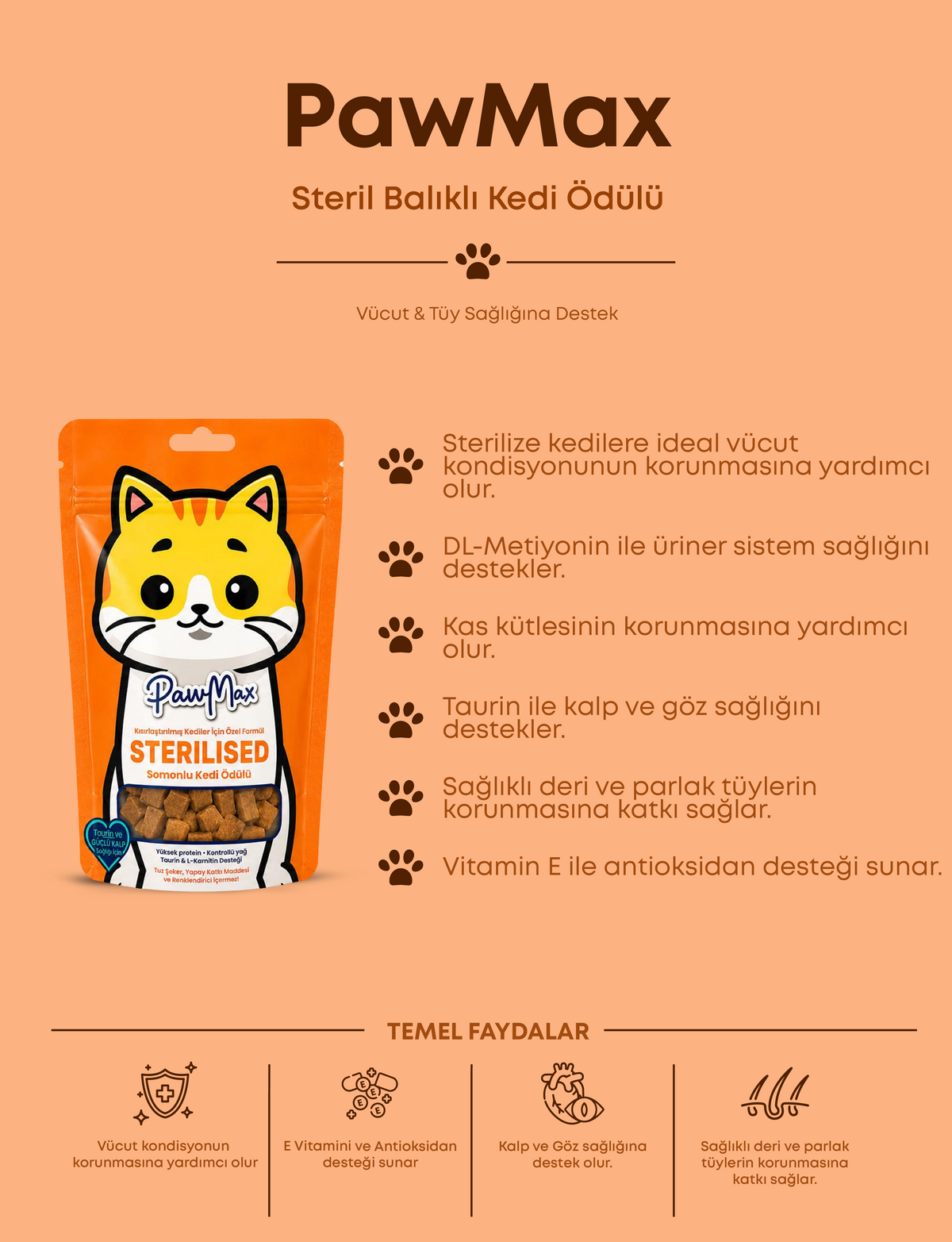 Sterilised Somonlu Kedi Ödülü